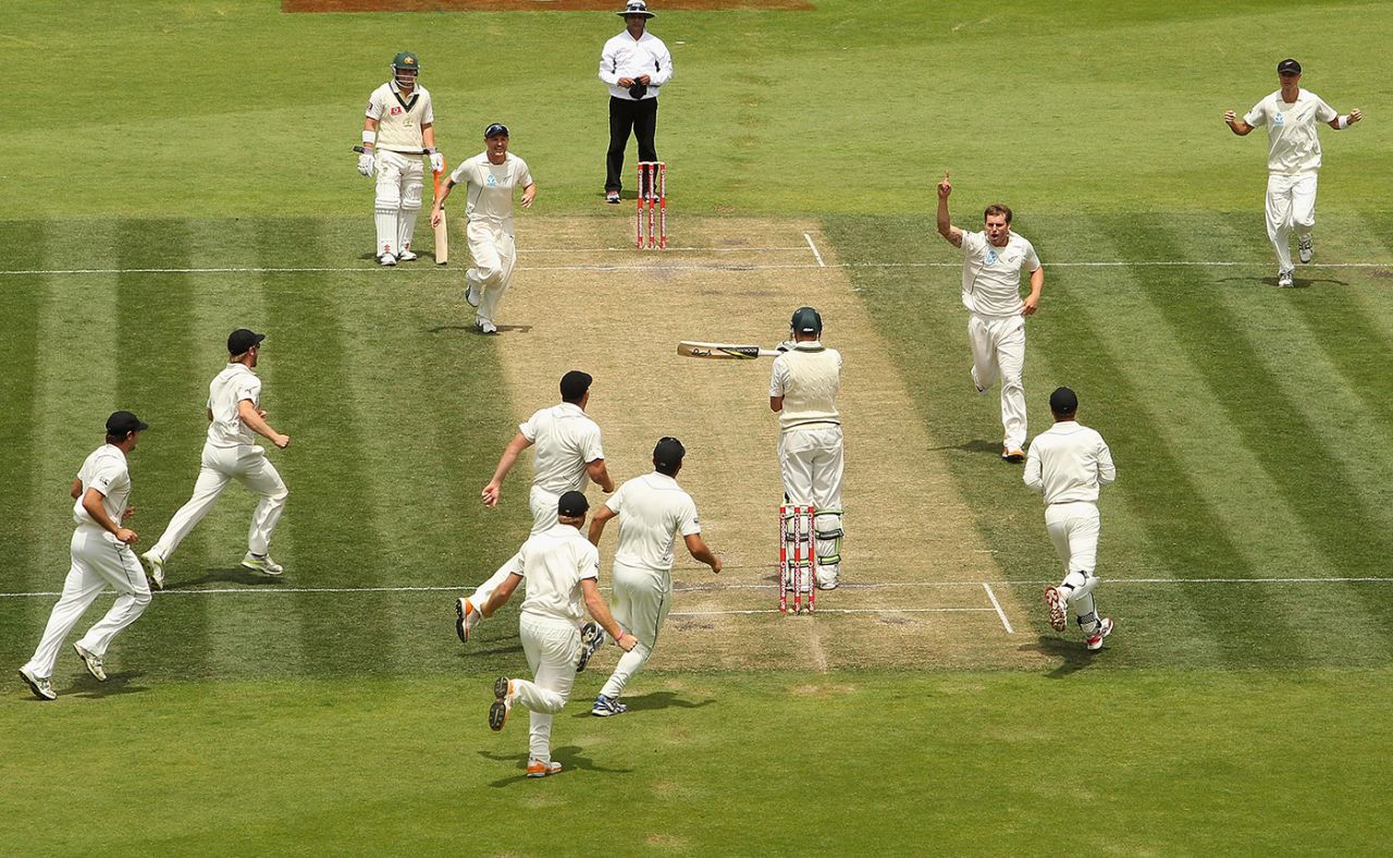 Doug Bracewell celebrates James Pattinson's wicket, Australia v New Zealand, 2nd Test, Hobart, 4th day, December 12 2011