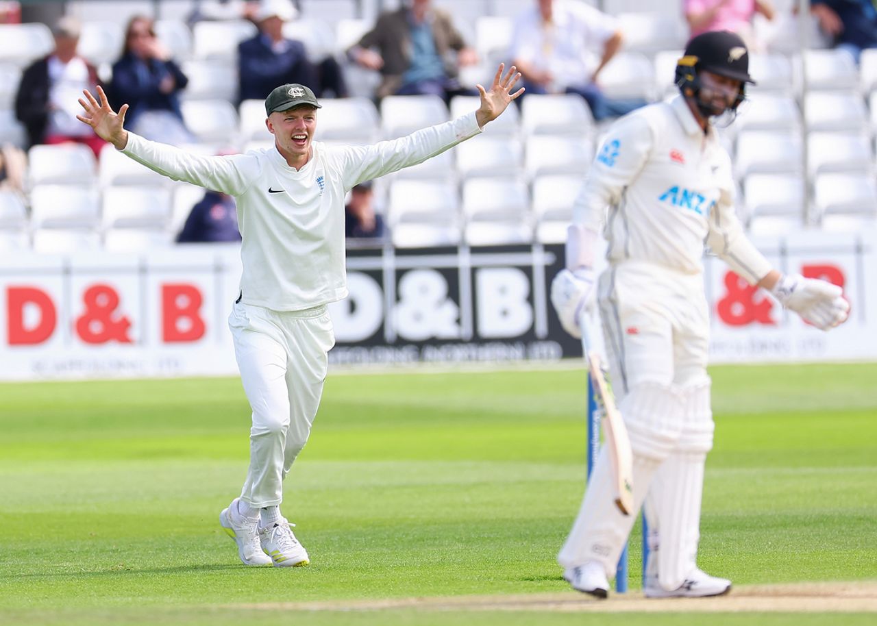 Lyndon James celebrates the wicket of Devon Conway, FCC Select XI vs New Zealanders, Tour match, Chelmsford, 3rd day, May 28, 2022