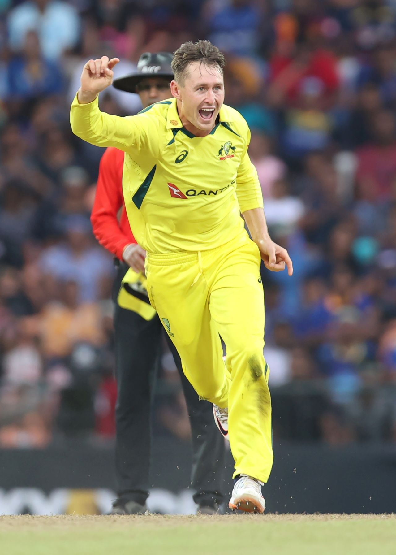 Marnus Labuschagne stalled Sri Lanka's charge with two quick wickets, Sri Lanka vs Australia, 1st ODI, Pallekele, June 14, 2022