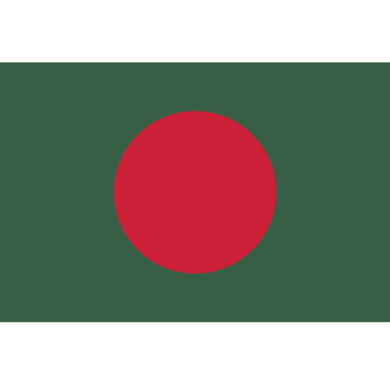 Bangladesh team flag