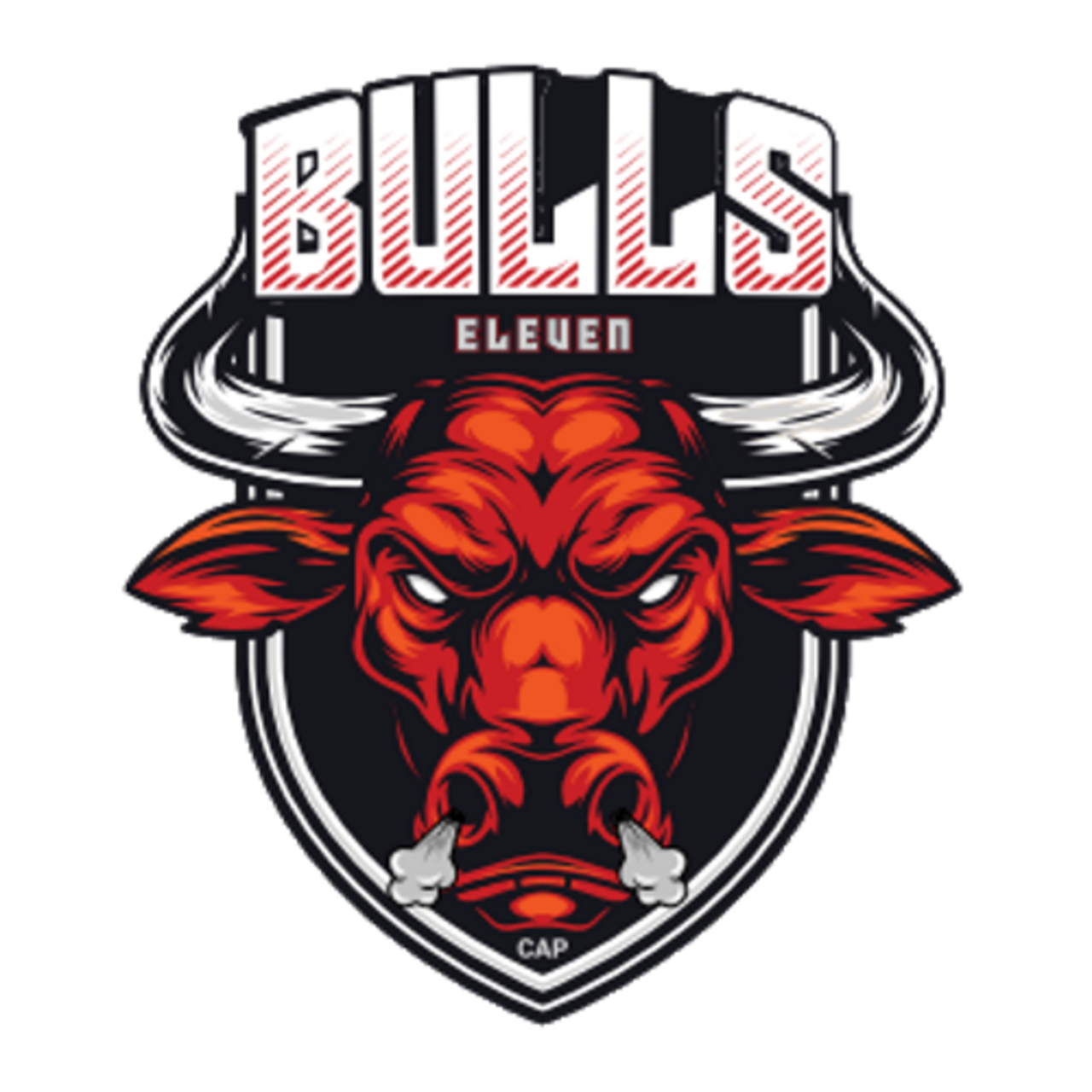 Bulls Eleven team logo