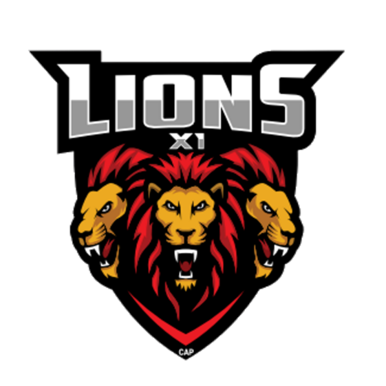 Lions XI team logo
