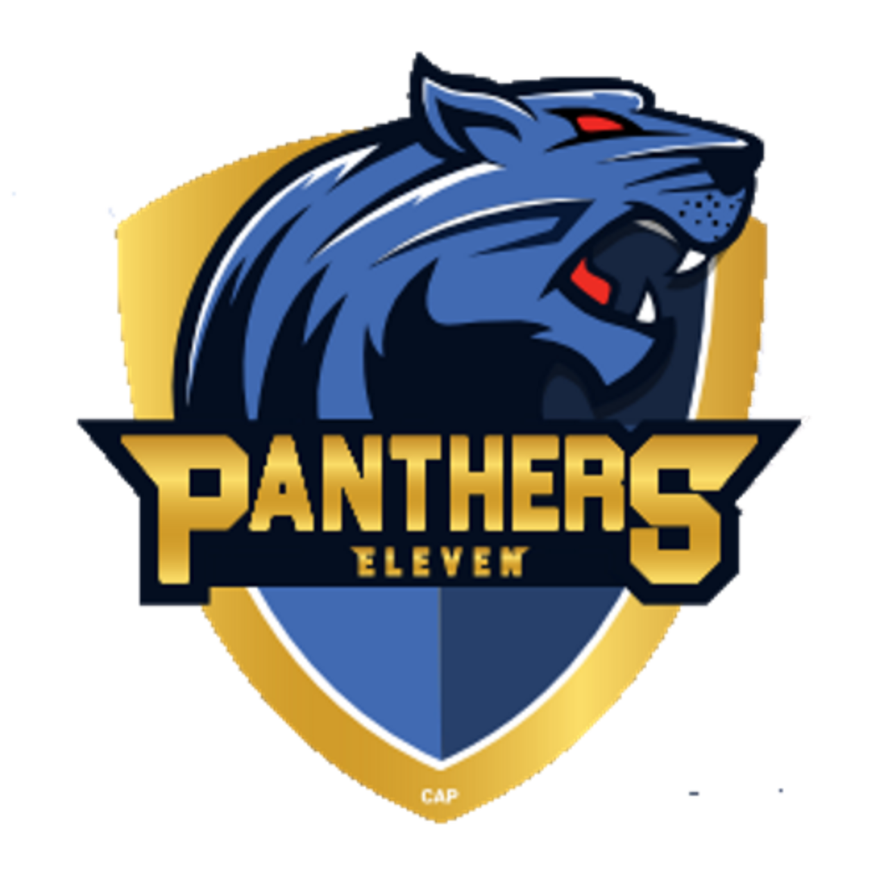 Panthers XI team logo