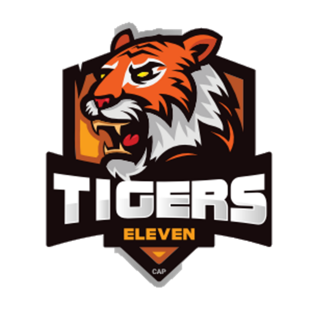 Tigers XI team logo