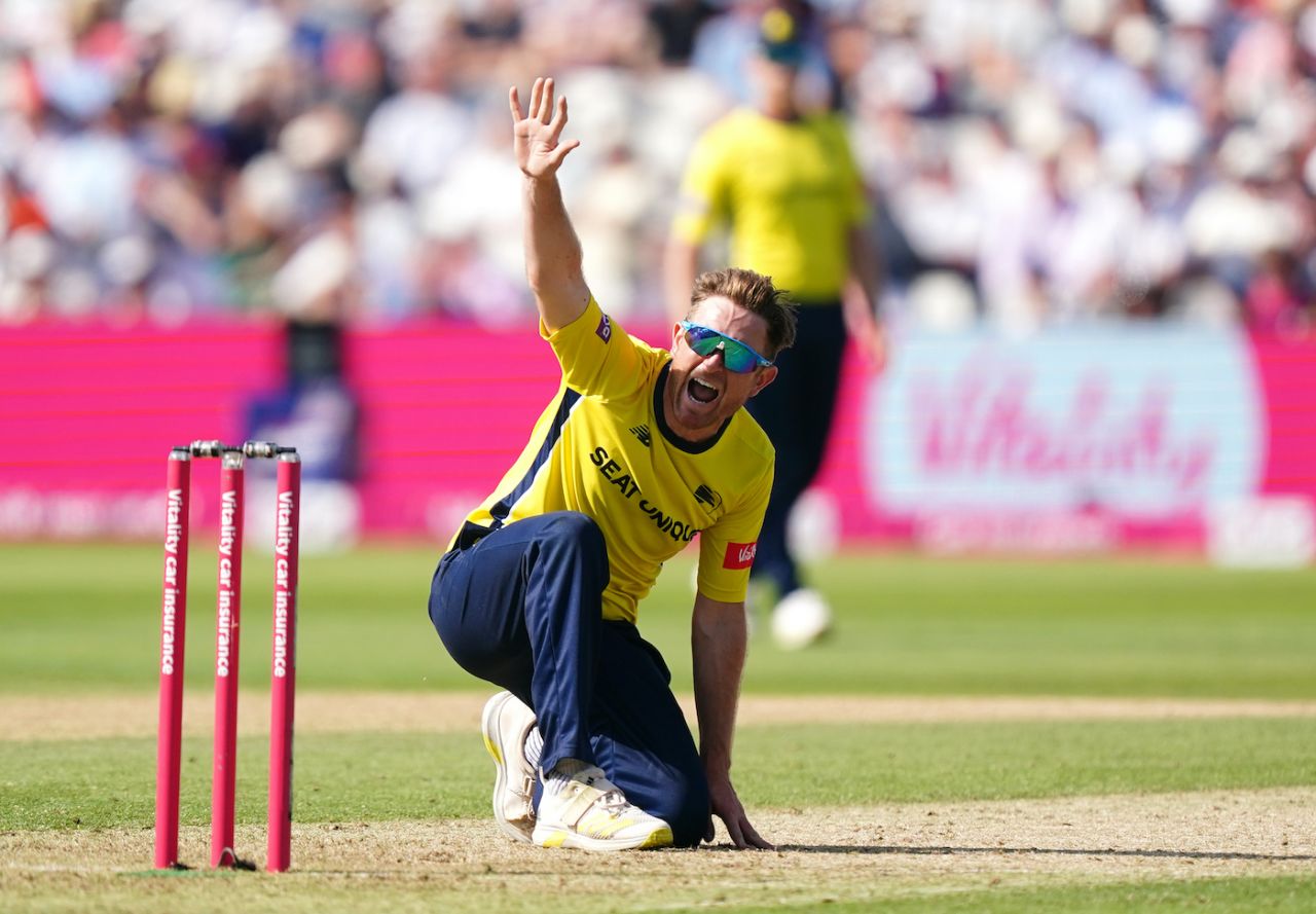 Liam Dawson gets down for an appeal, Vitality Blast T20, 2nd semi-final, Hampshire vs Somerset, Edgbaston, July 16, 2022