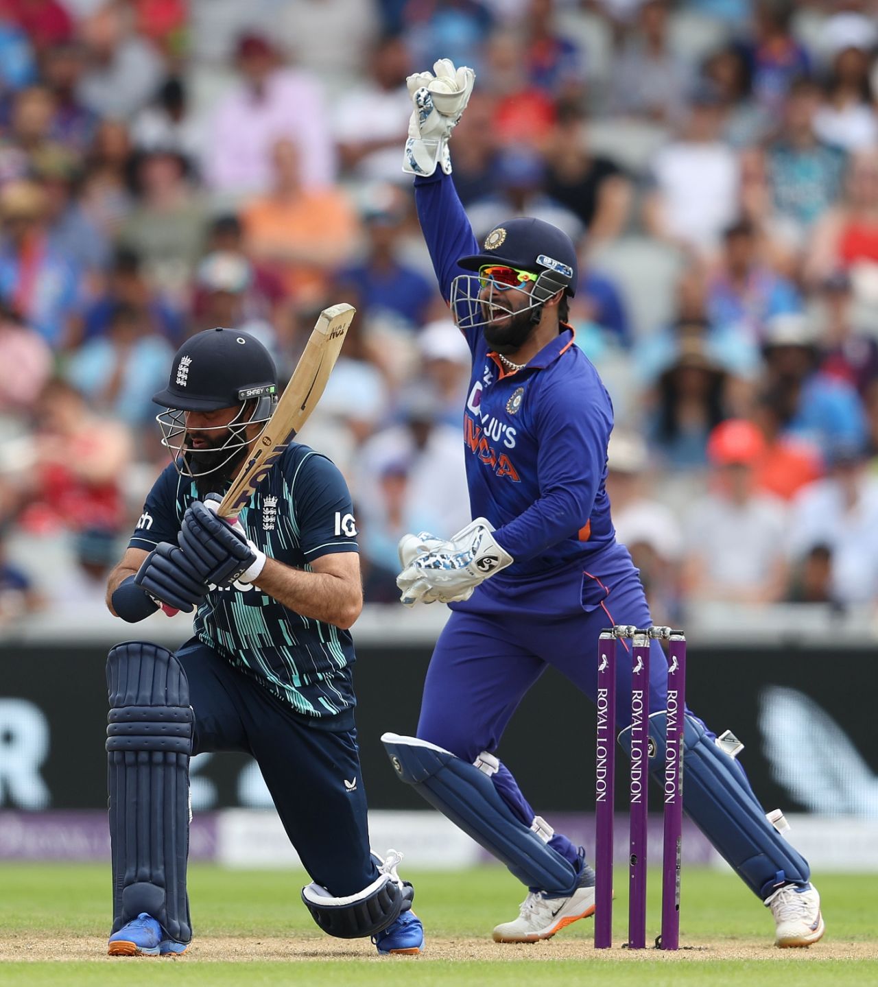 Rishabh Pant goes up in appeal after catching Moeen Ali down the leg side, England vs India, 3rd ODI, Manchester, July 17, 2022