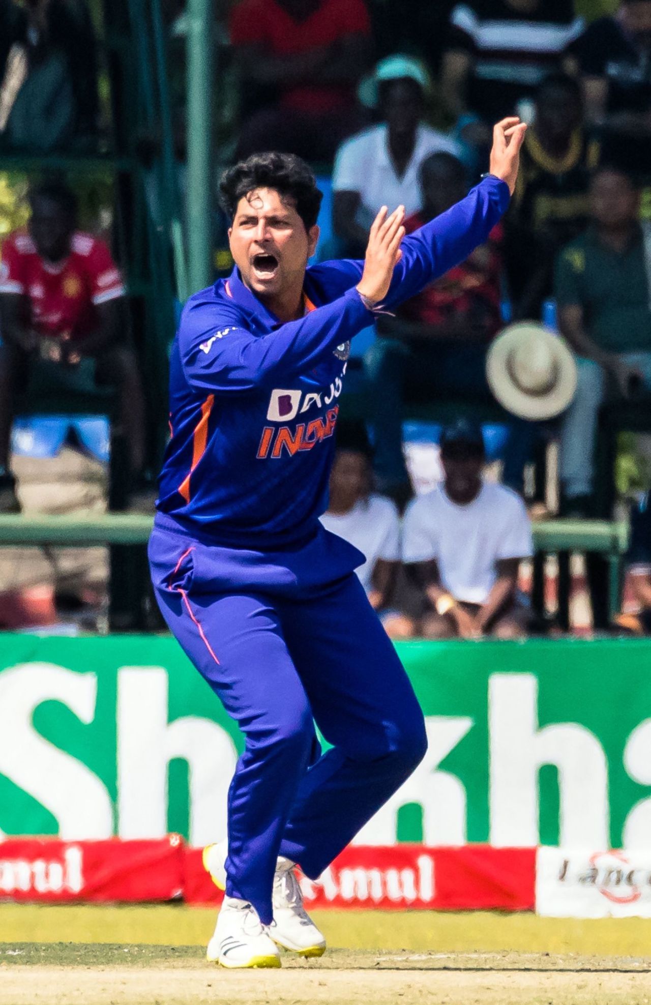 Kuldeep Yadav appeals, but it looks somewhat half-hearted, Zimbabwe vs India, 2nd ODI, Harare, August 20, 2022