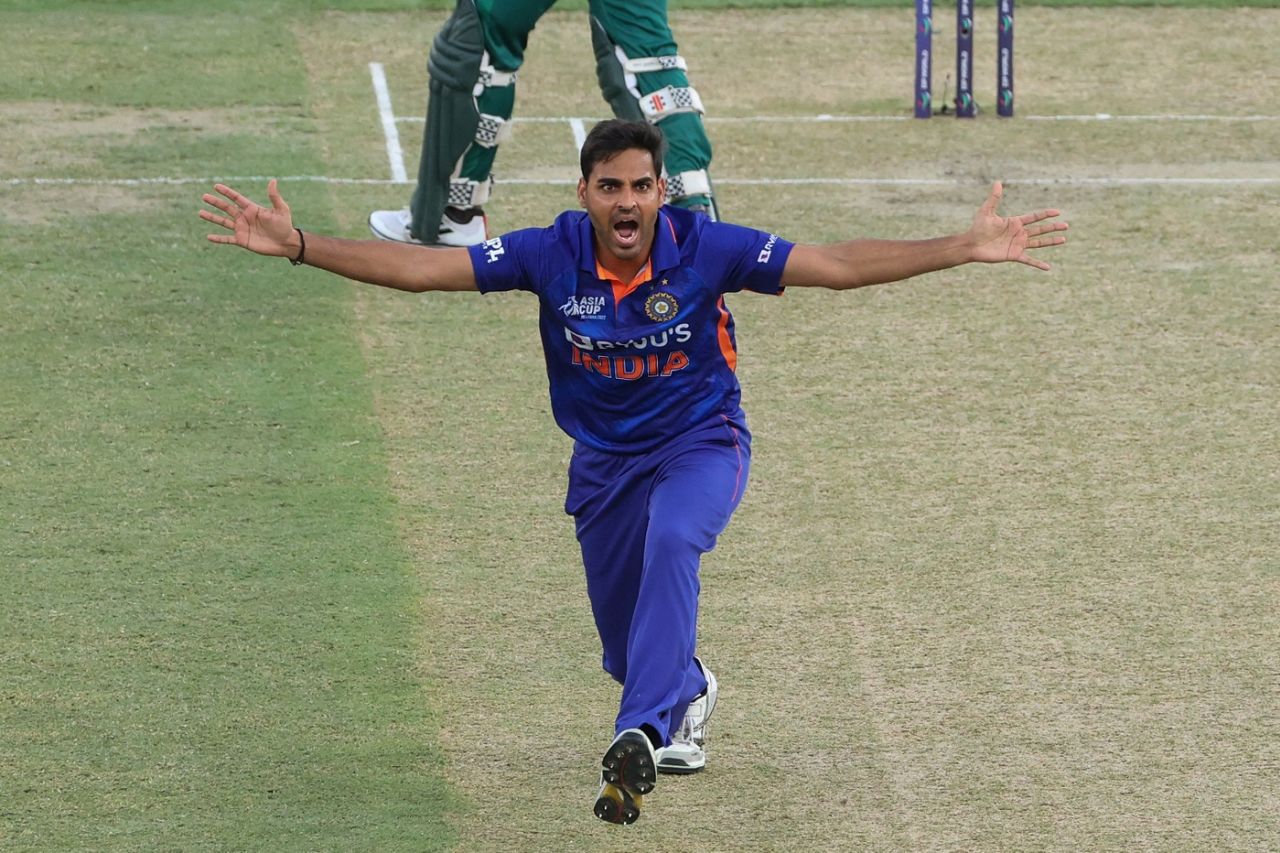 Bhuvneshwar Kumar is up in a vociferous appeal, India vs Pakistan, Asia Cup, Dubai, August 28, 2022