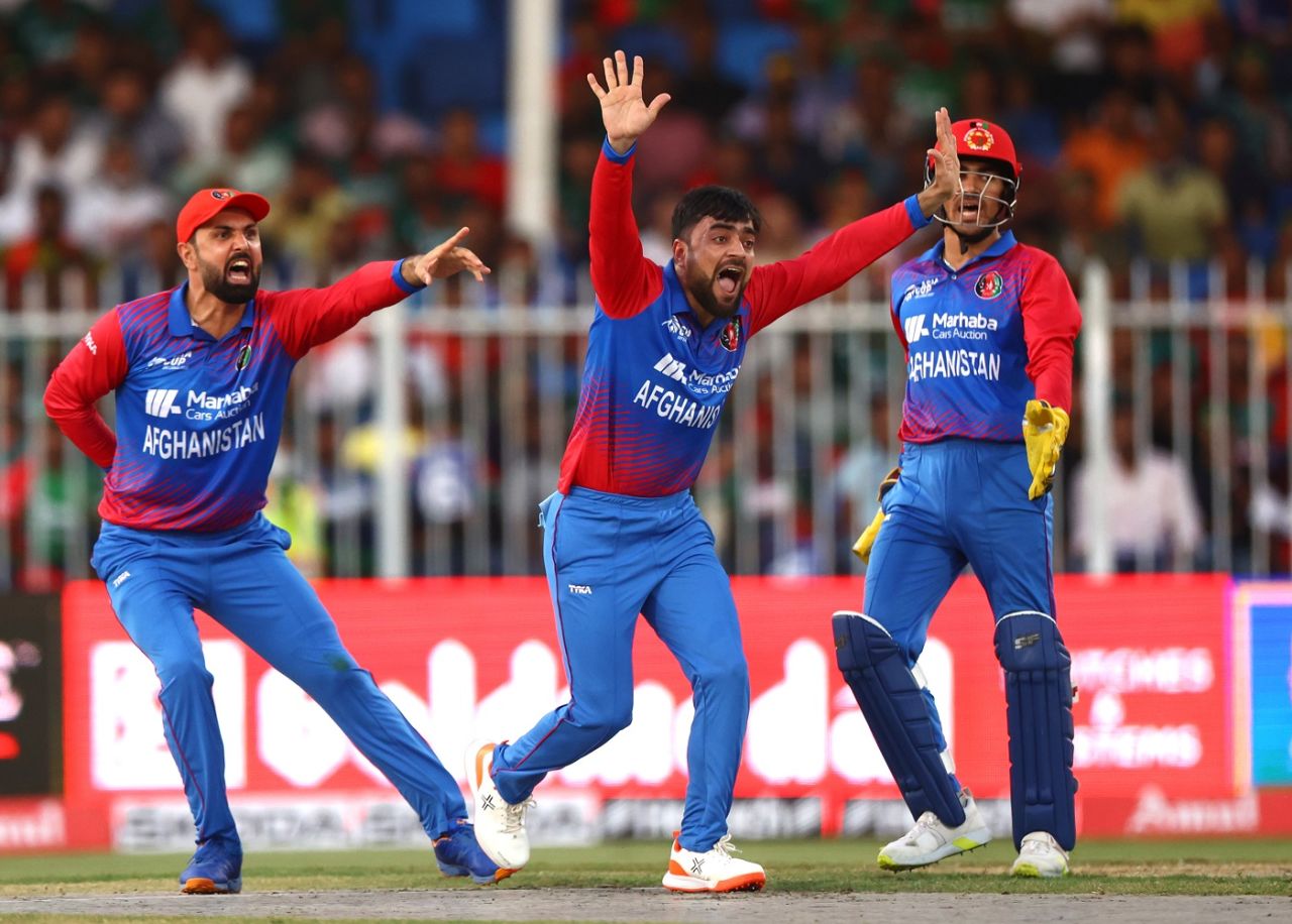 Rashid Khan goes up in appeal, Afghanistan vs Bangladesh, Asia Cup, Sharjah, August 30, 2022