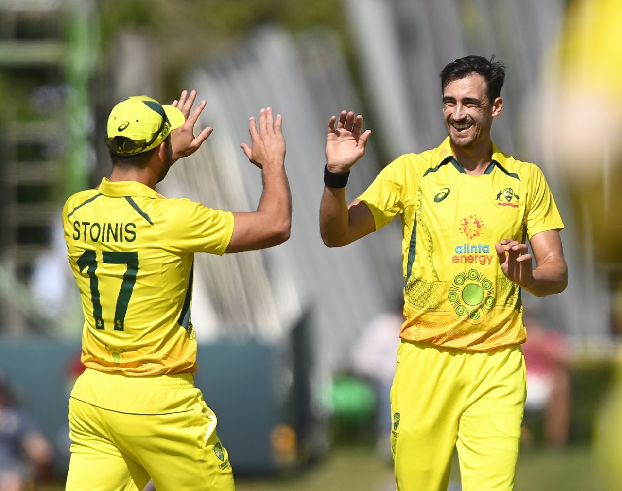 Mitchell Starc celebrates the wicket of Innocent Kaia, Australia vs Zimbabwe, 2nd ODI, Townsville, August 31, 2022