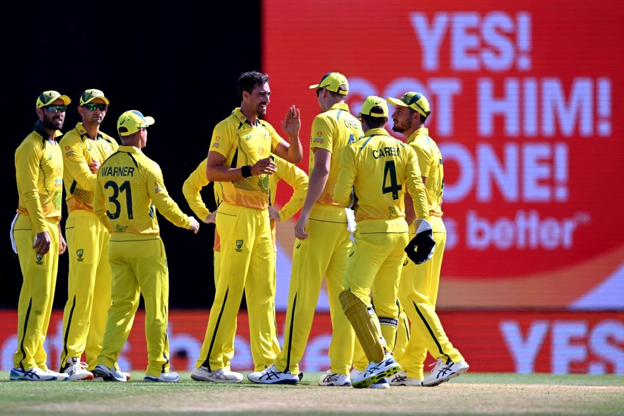 Mitchell Starc struck thrice in his menacing opening spell, Australia vs Zimbabwe, 2nd ODI, Townsville, August 31, 2022