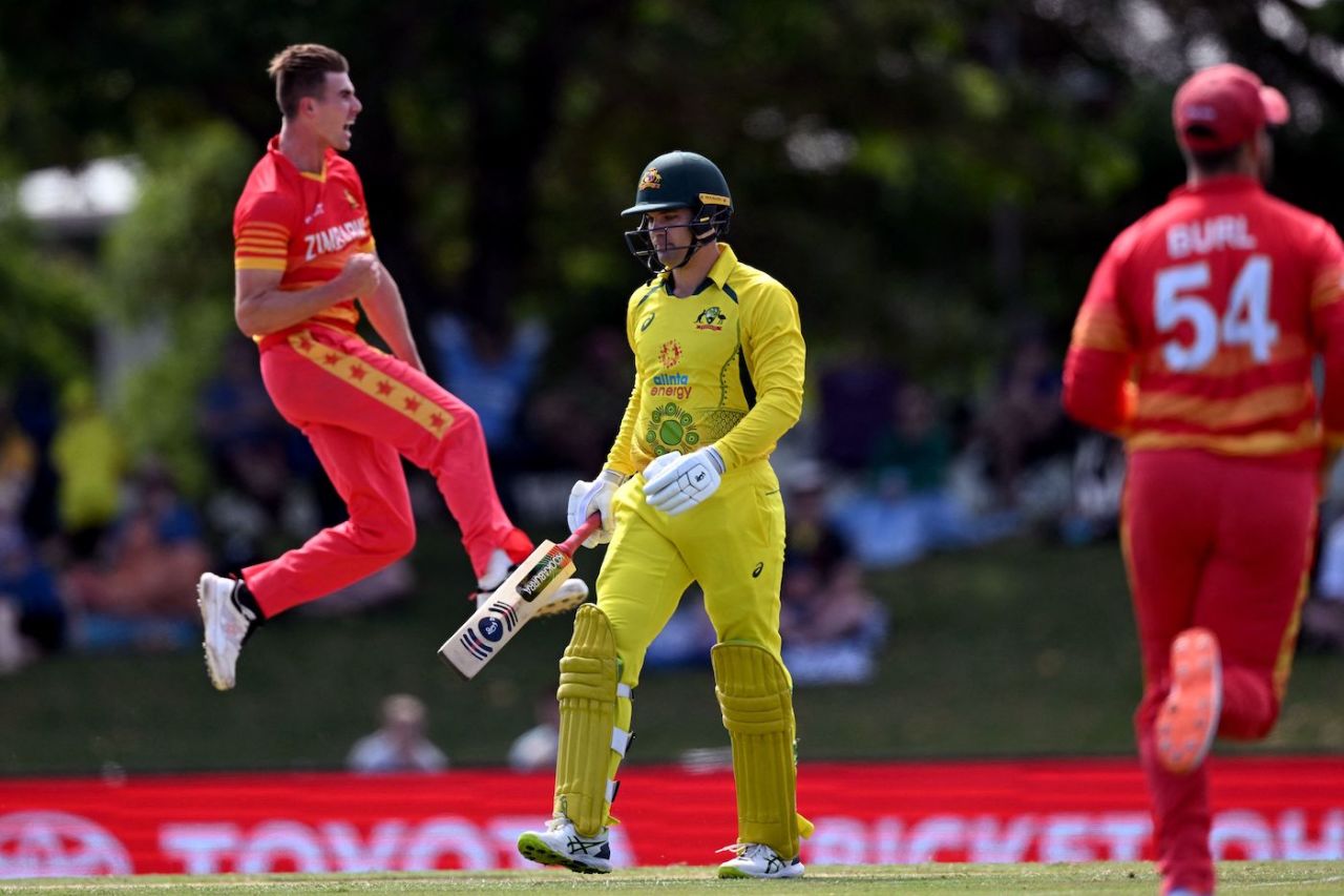 Brad Evans is delighted after dismissing Alex Carey, Australia vs Zimbabwe, 3rd ODI, Townsville, September 3, 2022