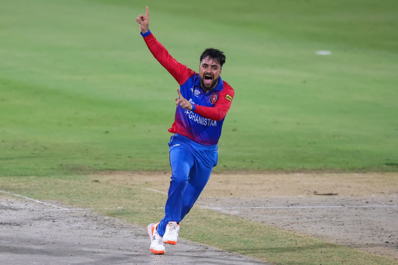 Rashid Khan is up in appeal for the wicket of Mohammad Rizwan, Afghanistan vs Pakistan, Asia Cup Super 4s, Sharjah, September 7, 2022
