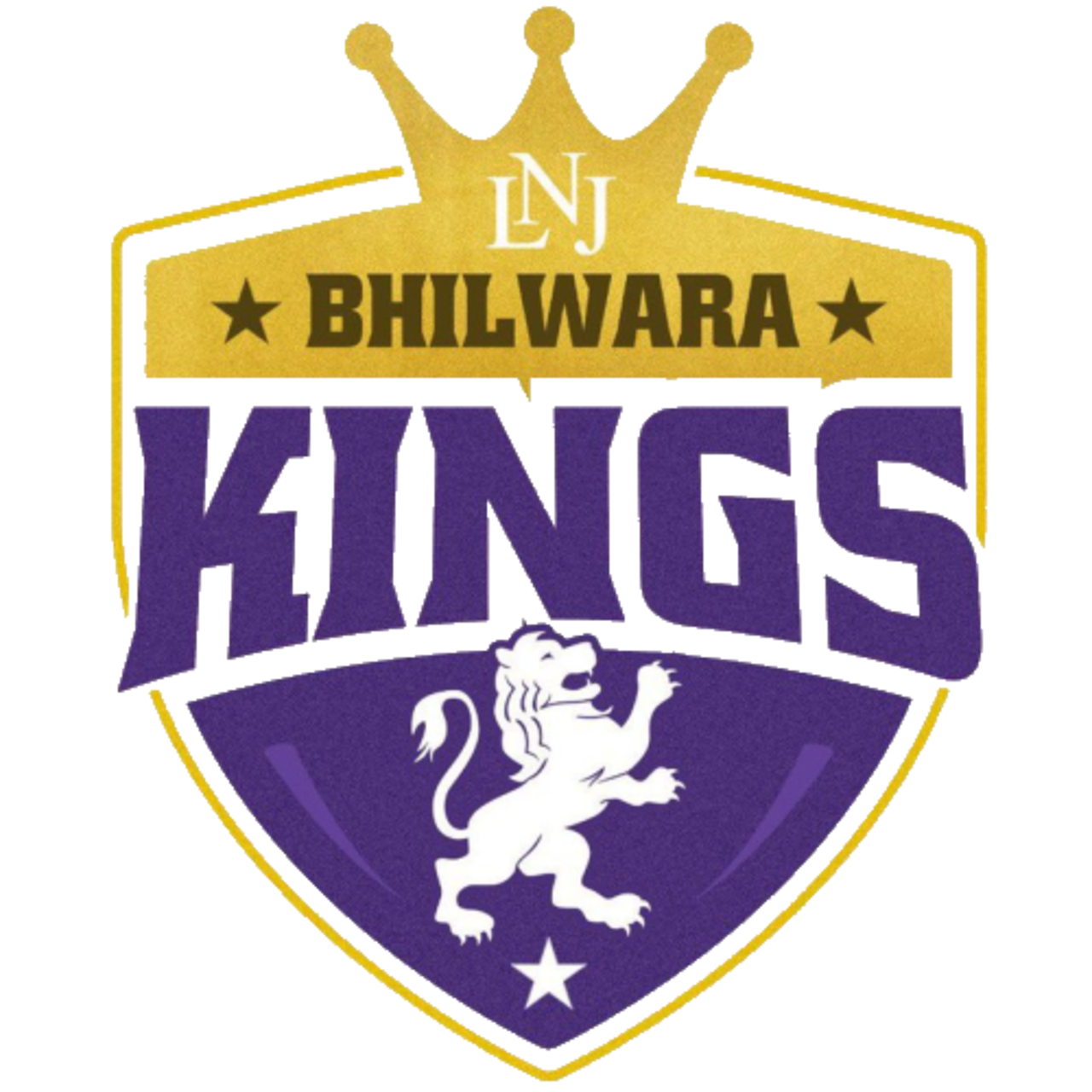 Bhilwara Kings team logo