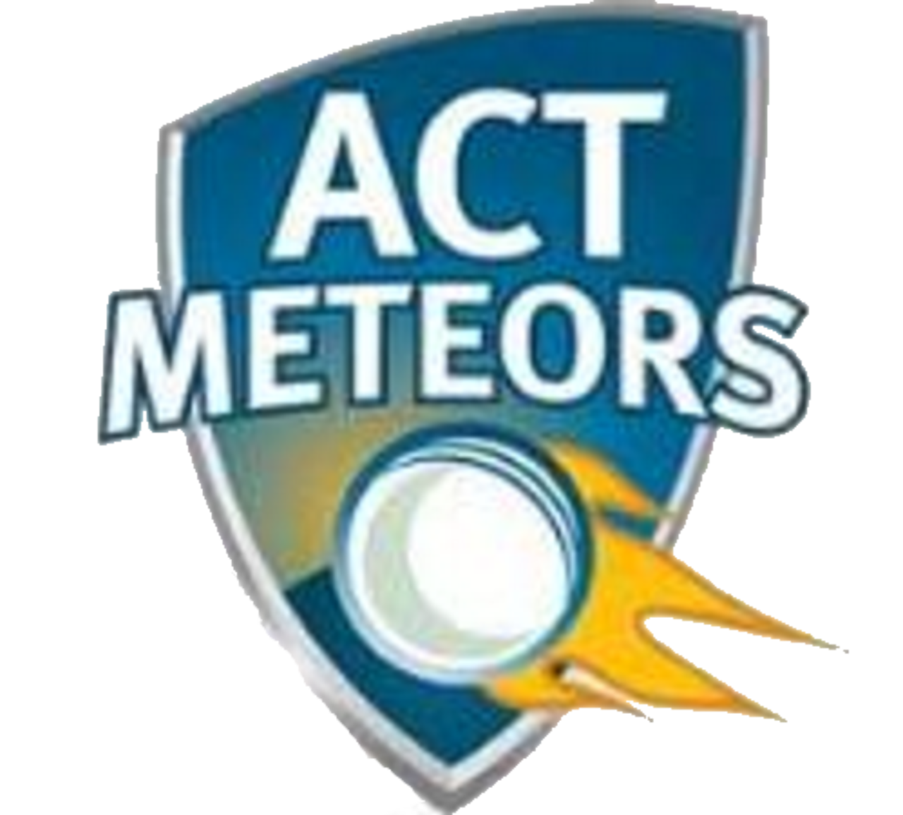 ACT Metors team logo
