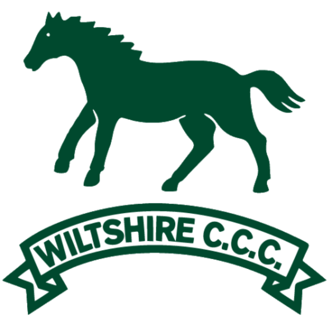 Wiltshire team logo