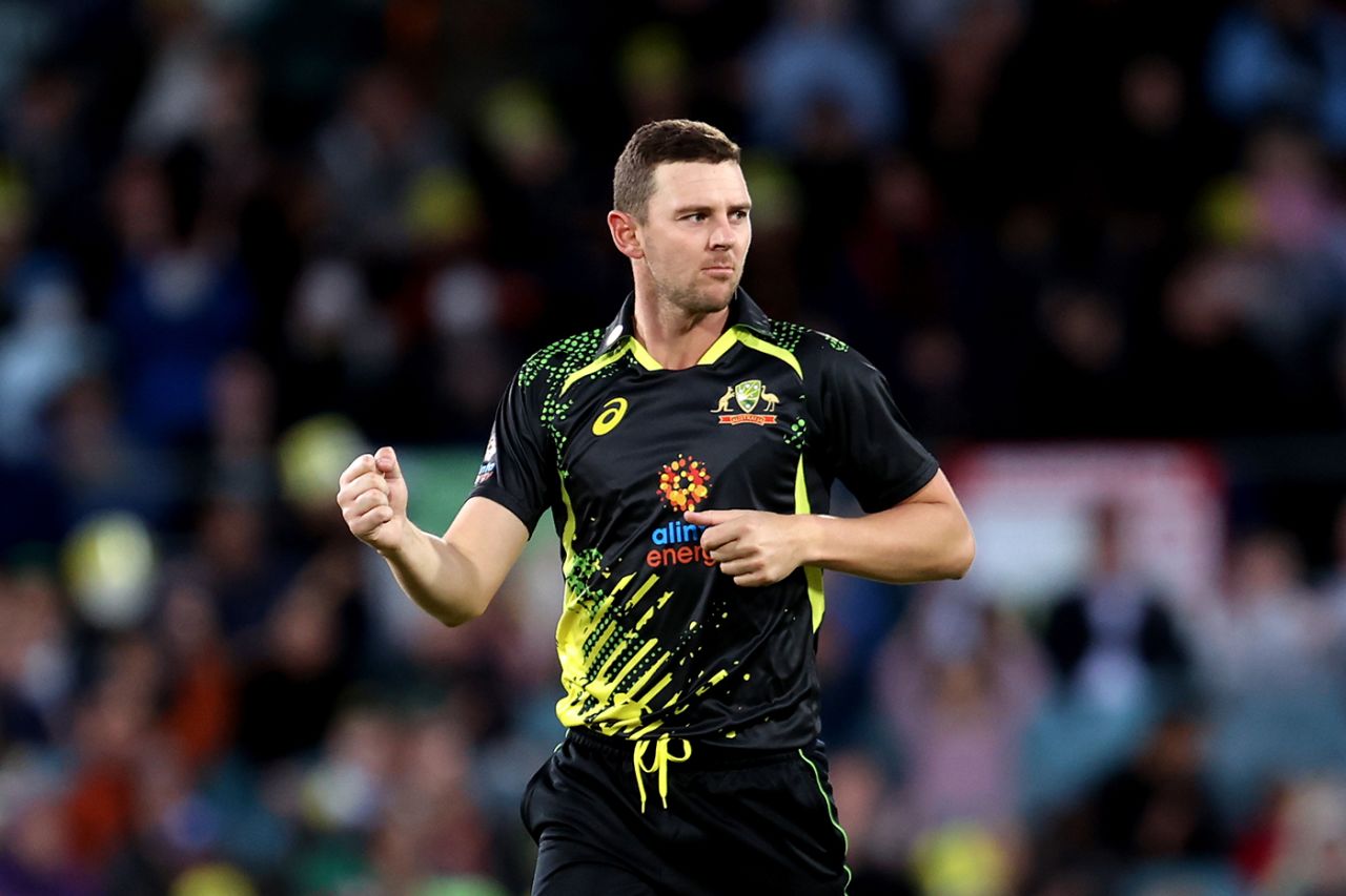 Josh Hazlewood celebrates an early breakthrough, Australia vs England, 3rd T20I, Canberra, October 14, 2022
