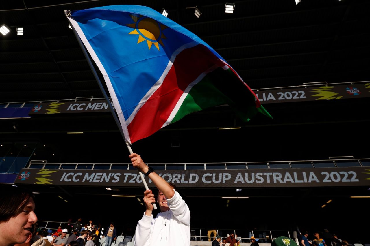 A fan flies the Namibia flag high in the stands, Sri Lanka vs Namibia, Men's T20 World Cup 2022, 1st Round, Group A, Geelong, October 16, 2022