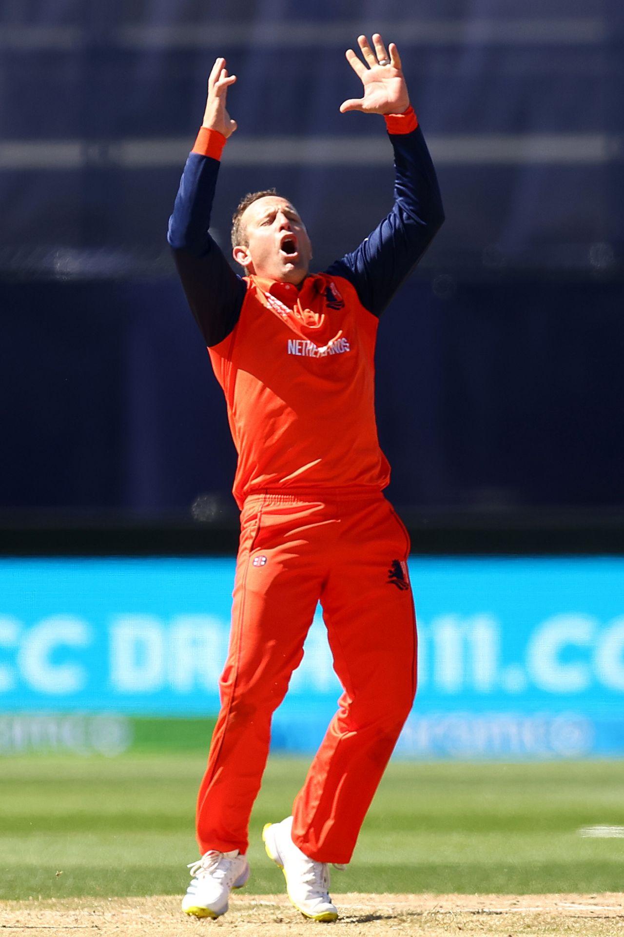 Roelof van der Merwe reacts to a close call, Netherlands vs Sri Lanka, Group A, First Round, T20 World Cup, Geelong, October 20, 2022