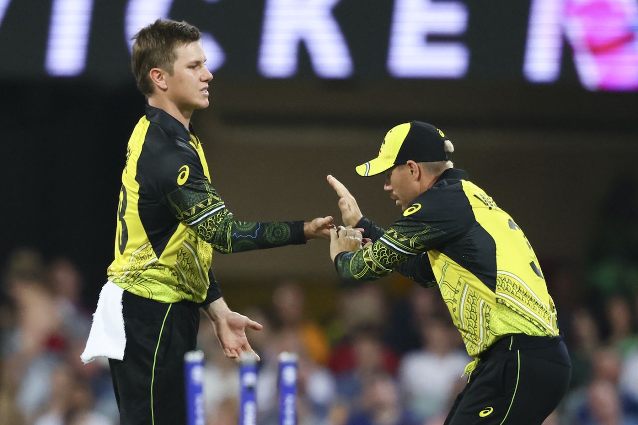 Adam Zampa is congratulated by David Warner after Fionn Hand's wicket, Australia vs Ireland, ICC Men's T20 World Cup 2022, Brisbane, October 31, 2022