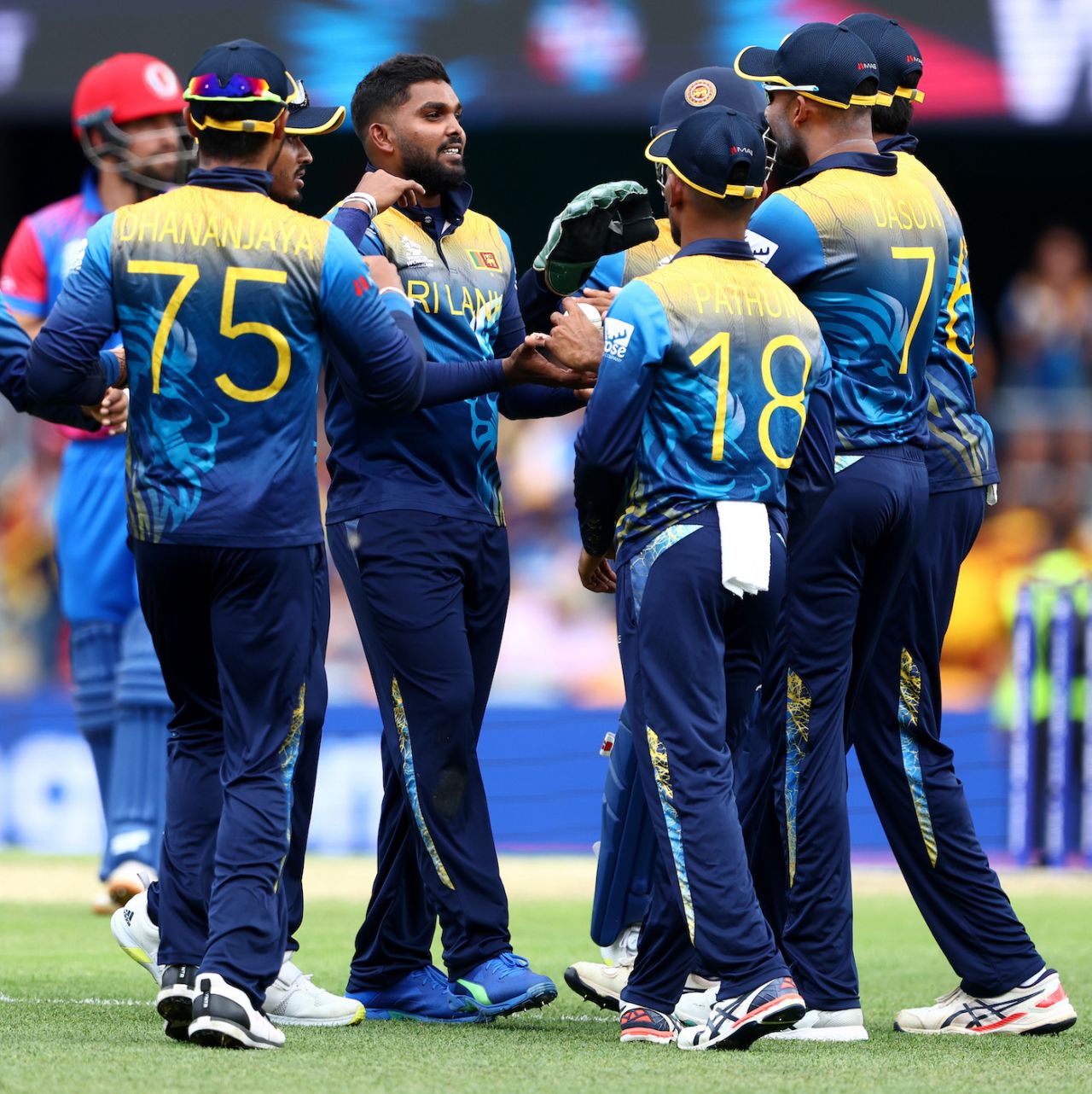 Wanindu Hasaranga got rid of Usman Ghani, caught at deep midwicket, Afghanistan vs Sri Lanka, T20 World Cup, Brisbane, November 1, 2022