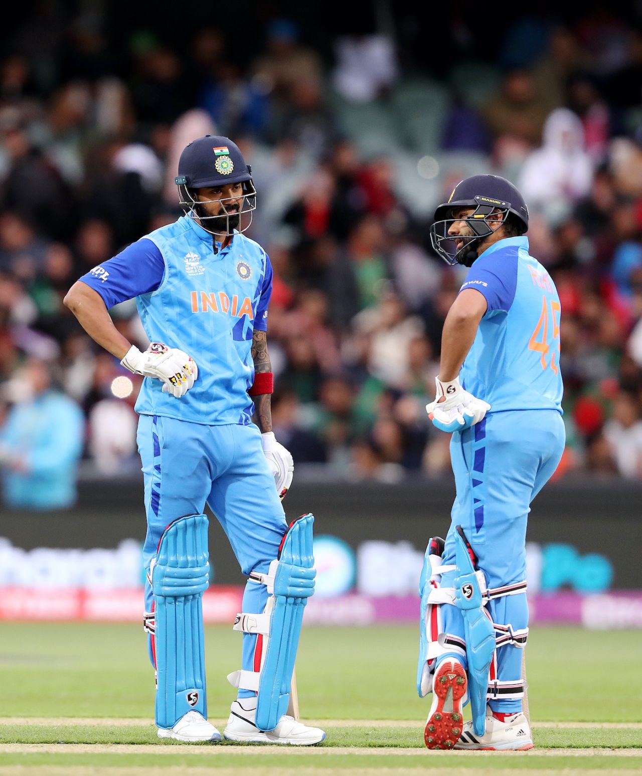 KL Rahul and Rohit Sharma in the middle, Bangladesh vs India, ICC Men's T20 World Cup 2022, Adelaide, November 2, 2022