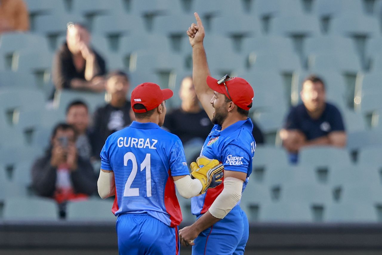 Gulbadin Naib celebrates after taking the catch to dismiss Cameron Green, Afghanistan vs Australia, ICC Men's T20 World Cup 2022, Adelaide, November 4, 2022