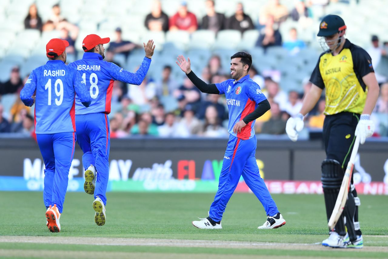 Fazalhaq Farooqi celebrates after picking up Cameron Green, Afghanistan vs Australia, ICC Men's T20 World Cup 2022, Adelaide, November 4, 2022