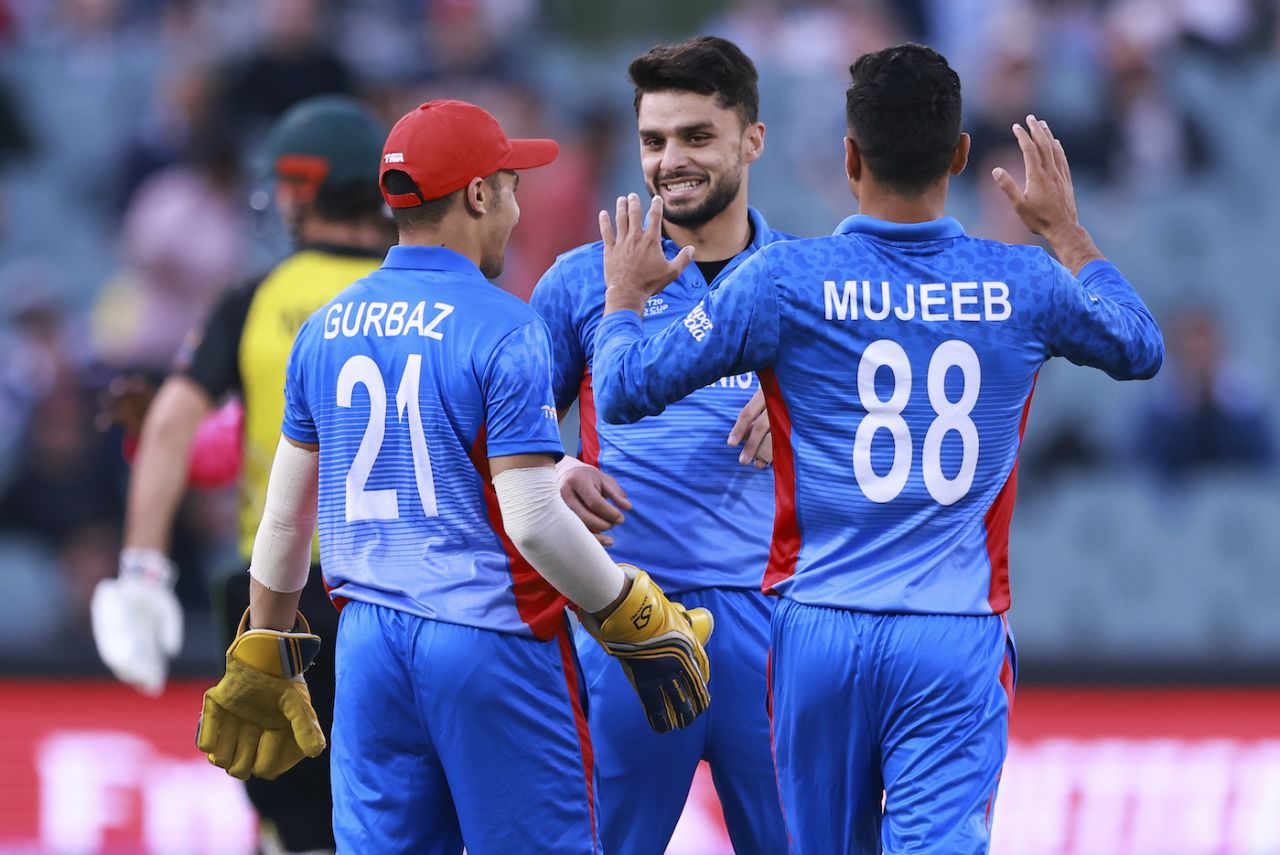 Naveen-ul-Haq celebrates after bowling David Warner, Afghanistan vs Australia, ICC Men's T20 World Cup 2022, Adelaide, November 4, 2022