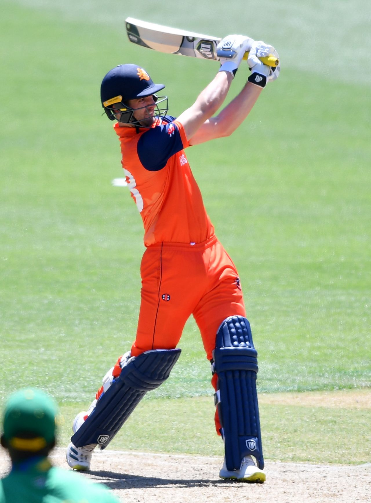 Colin Ackermann gave the Netherlands innings a good finishing kick, Netherlands vs South Africa, T20 World Cup, Adelaide, November 6, 2022