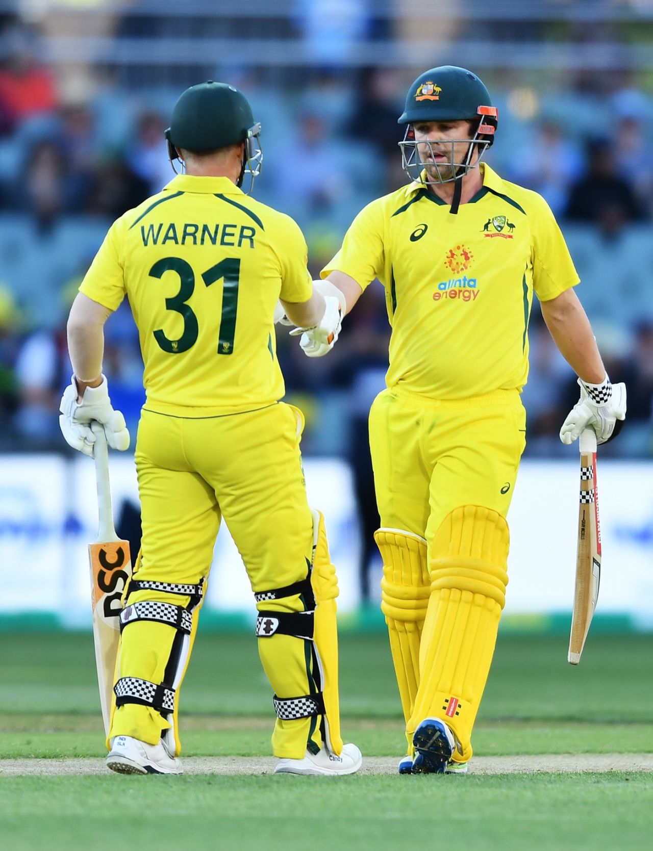 David Warner and Travis Head shared a century stand, Australia vs England, 1st ODI, Adelaide, November 17, 2022