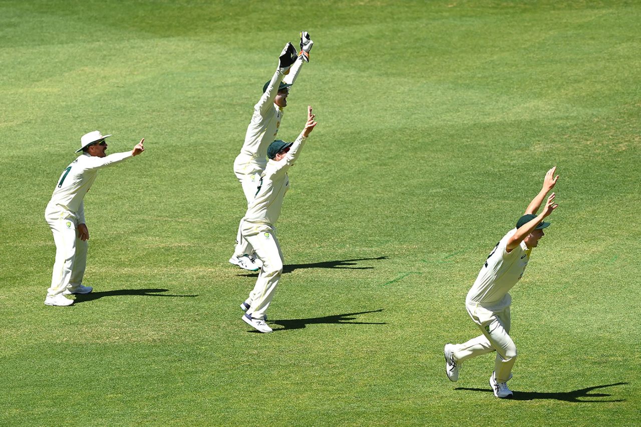 Australia's cordon goes up in an appeal, Australia vs West Indies, 1st Test, Perth, 3rd day, December 2, 2022

