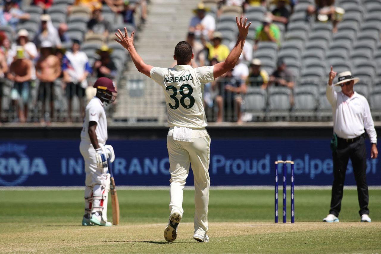 Josh Hazlewood thought he had Jason Holder lbw, Australia vs West Indies, 1st Test, Perth, 3rd day, December 2, 2022
