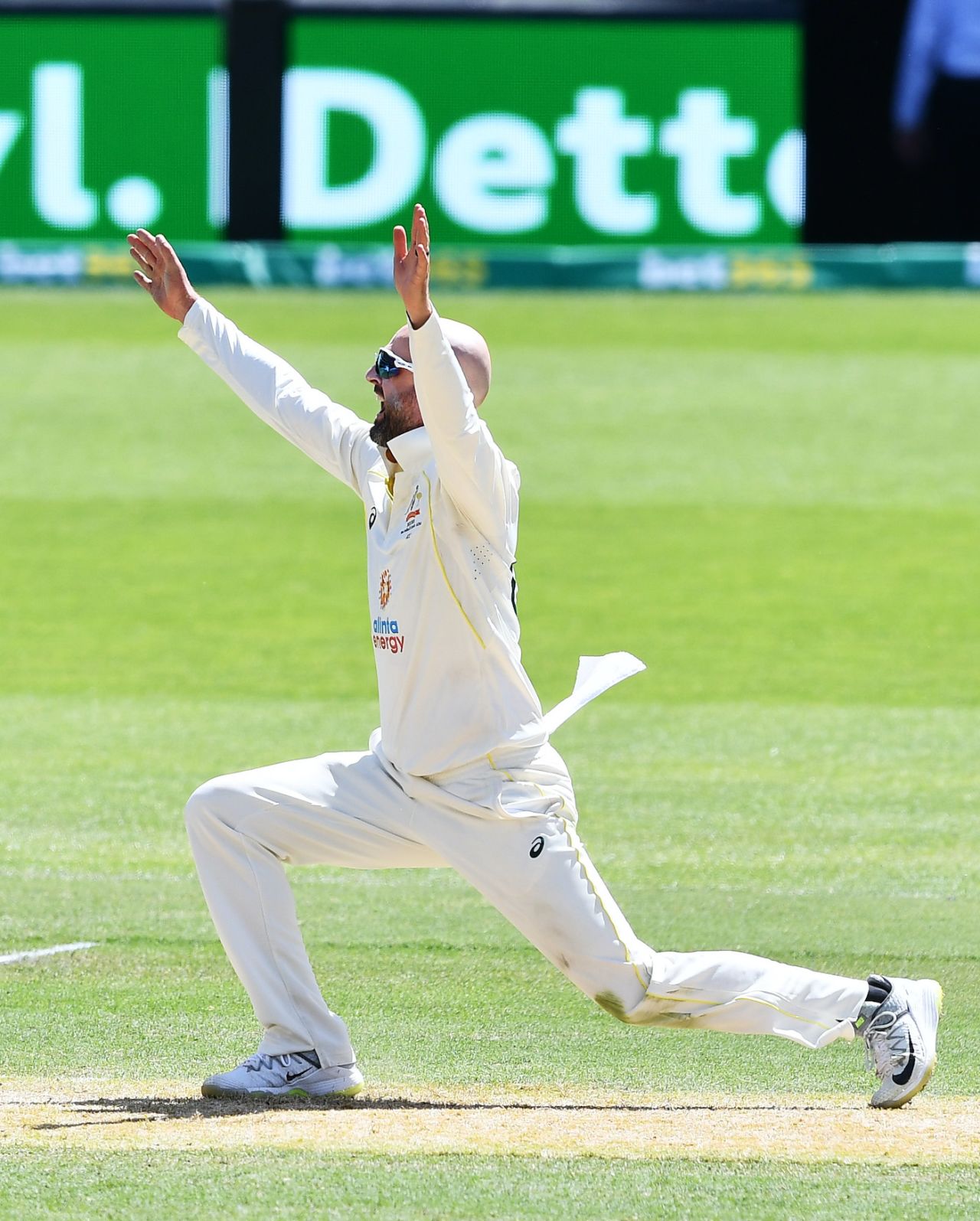 Nathan Lyon doesn't hold back with the appeal, Australia vs West Indies, 2nd Test, Adelaide, 3rd Day, December 10, 2022