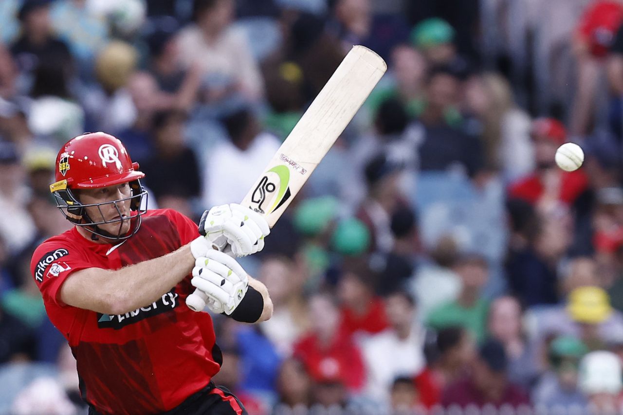 Martin Guptill was solid at the top of the Renegades order, Melbourne Stars vs Melbourne Renegades, BBL 2022-23, Melbourne, January 3, 2023