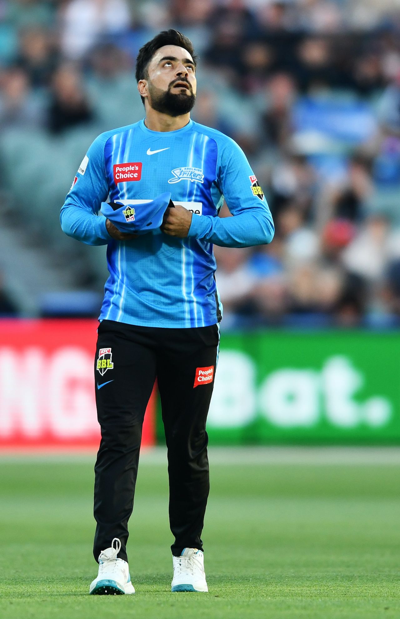 Rashid Khan went wicketless on his final game of the season, Adelaide Strikers vs Hobart Hurricanes, Big Bash League 2022-23, Adelaide, January 05, 2023