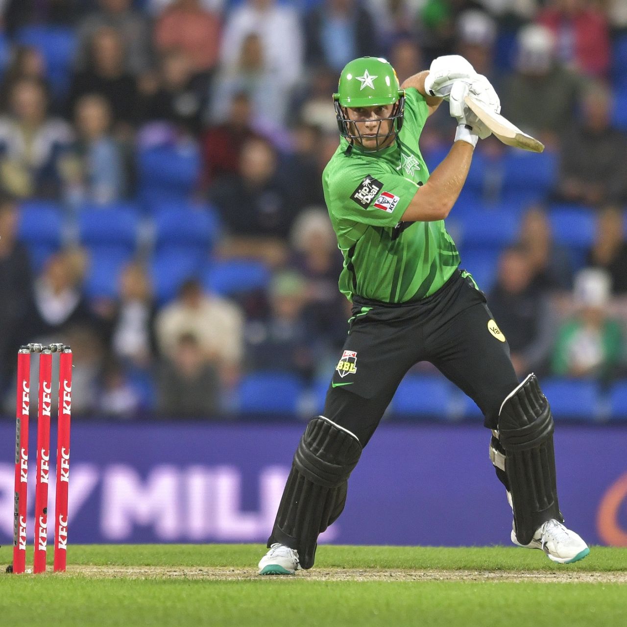 Hilton Cartwright scored a half-century, Hobart Hurricanes vs Melbourne Stars, Big Bash League 2022-23, Hobart, January 9, 2023