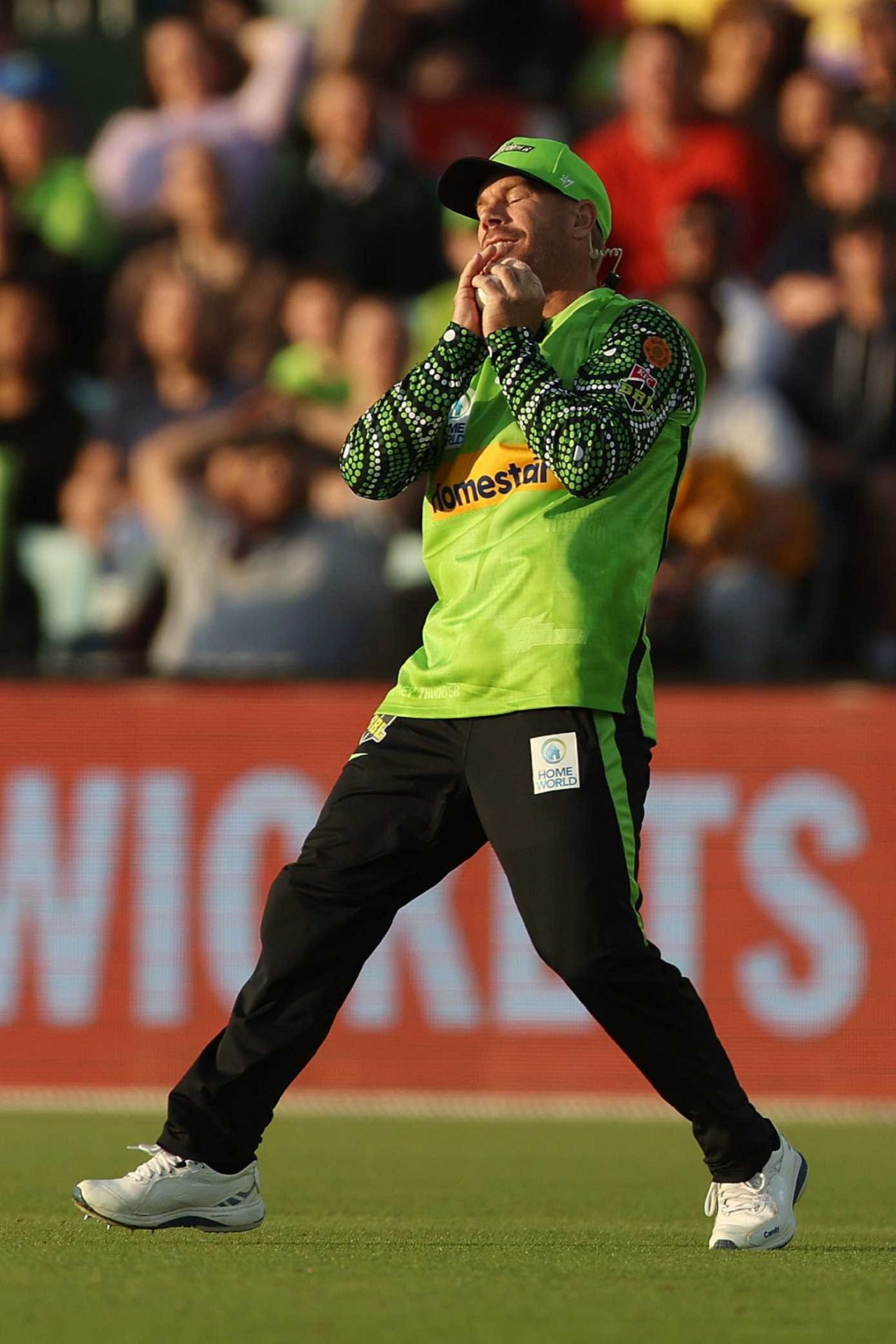 David Warner takes the catch to dismiss Jake Fraser-McGurk, Melbourne Renegades vs Sydney Thunder, Big Bash League, Canberra, January 19, 2023