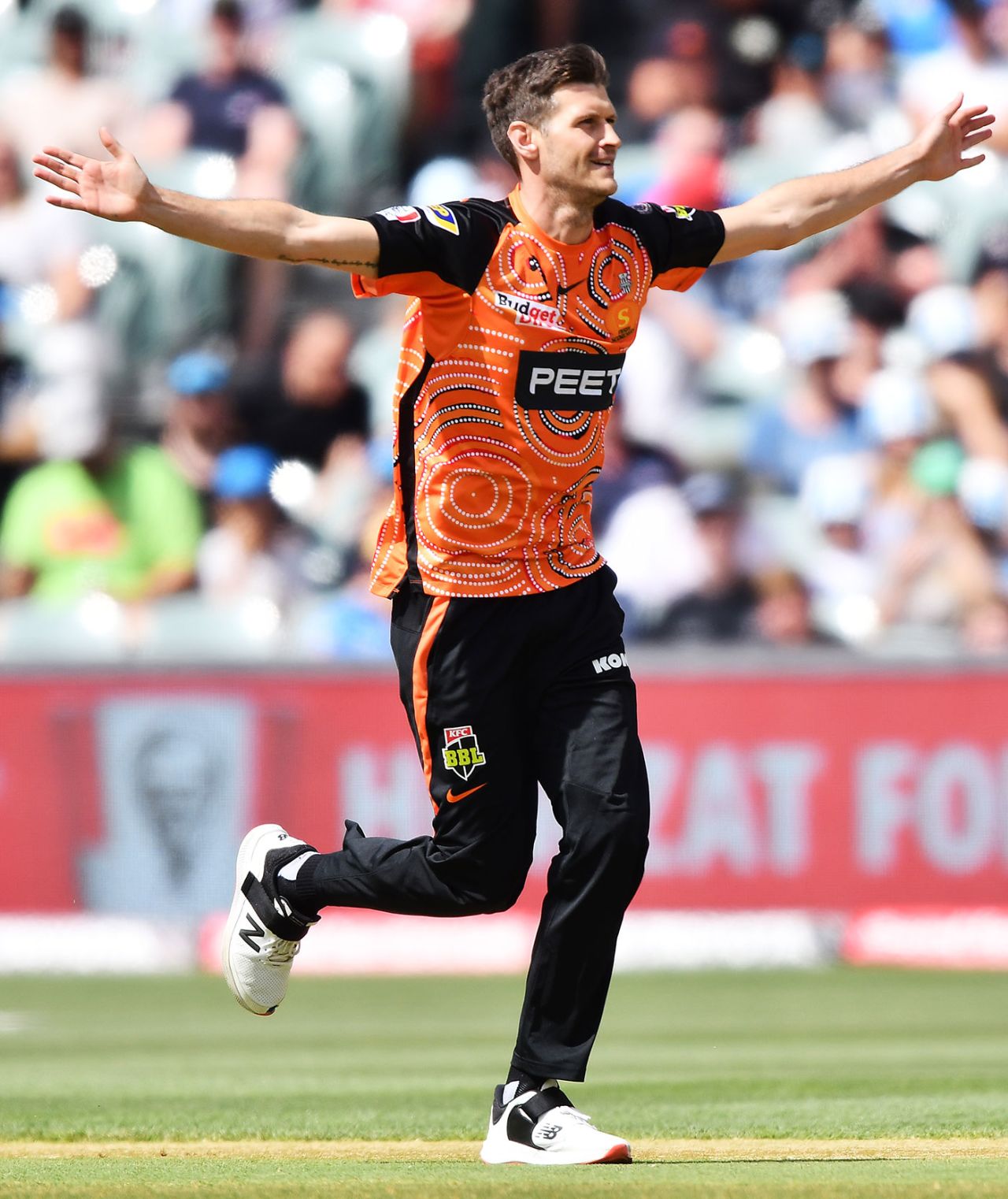 David Payne made key early inroads, Adelaide Strikers vs Perth Scorchers, BBL, Adelaide Oval, January 20, 2023