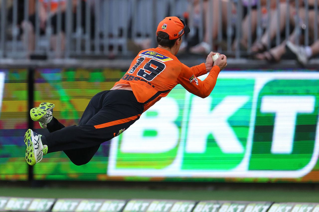 Nick Hobson held a spectacular catch, Perth Scorchers vs Melbourne Renegades, BBL, Perth Stadium, January 22, 2023