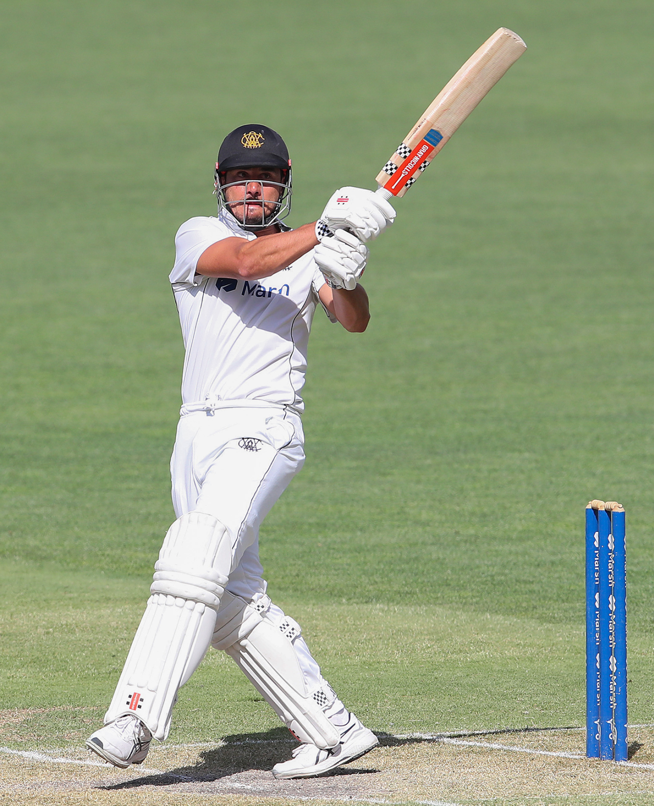 Marcus Stoinis made a half-century on his return to first-class cricket, South Australia vs Western Australia, Sheffield Shield, Adelaide Oval, February 11, 2023