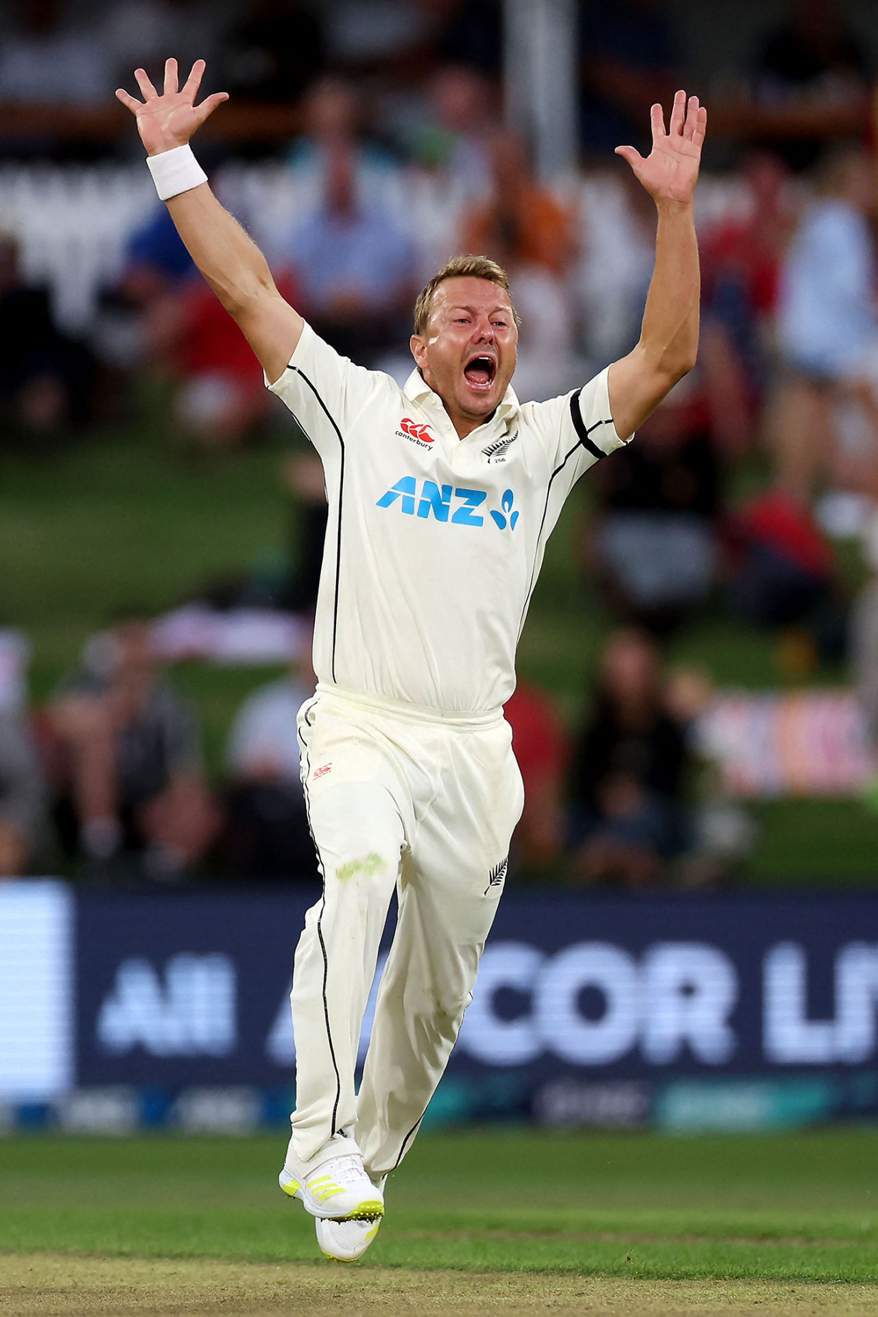 Neil Wagner was rewarded with wickets during the night session, New Zealand v England, 1st Test, Mount Maunganui, February 16, 2023