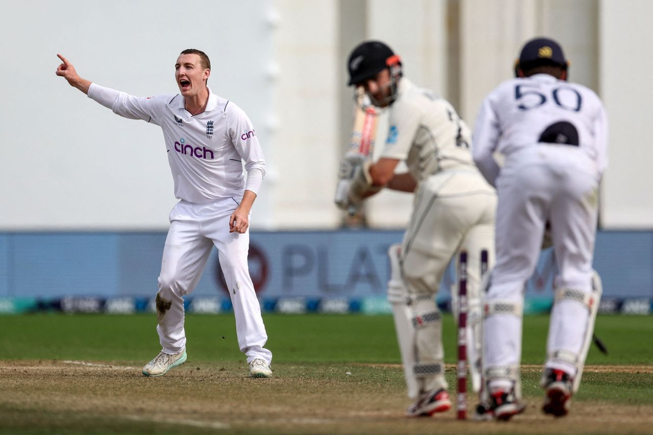 Harry Brook appeals for the wicket of Kane Williamson, New Zealand vs England, 2nd Test, Wellington, 4th day, February 27, 2023