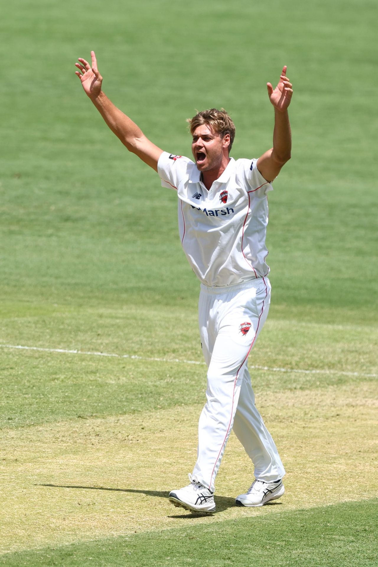 Spencer Johnson appeals for a wicket, Queensland vs South Australia, Sheffield Shield, Gabba, March 3, 2023