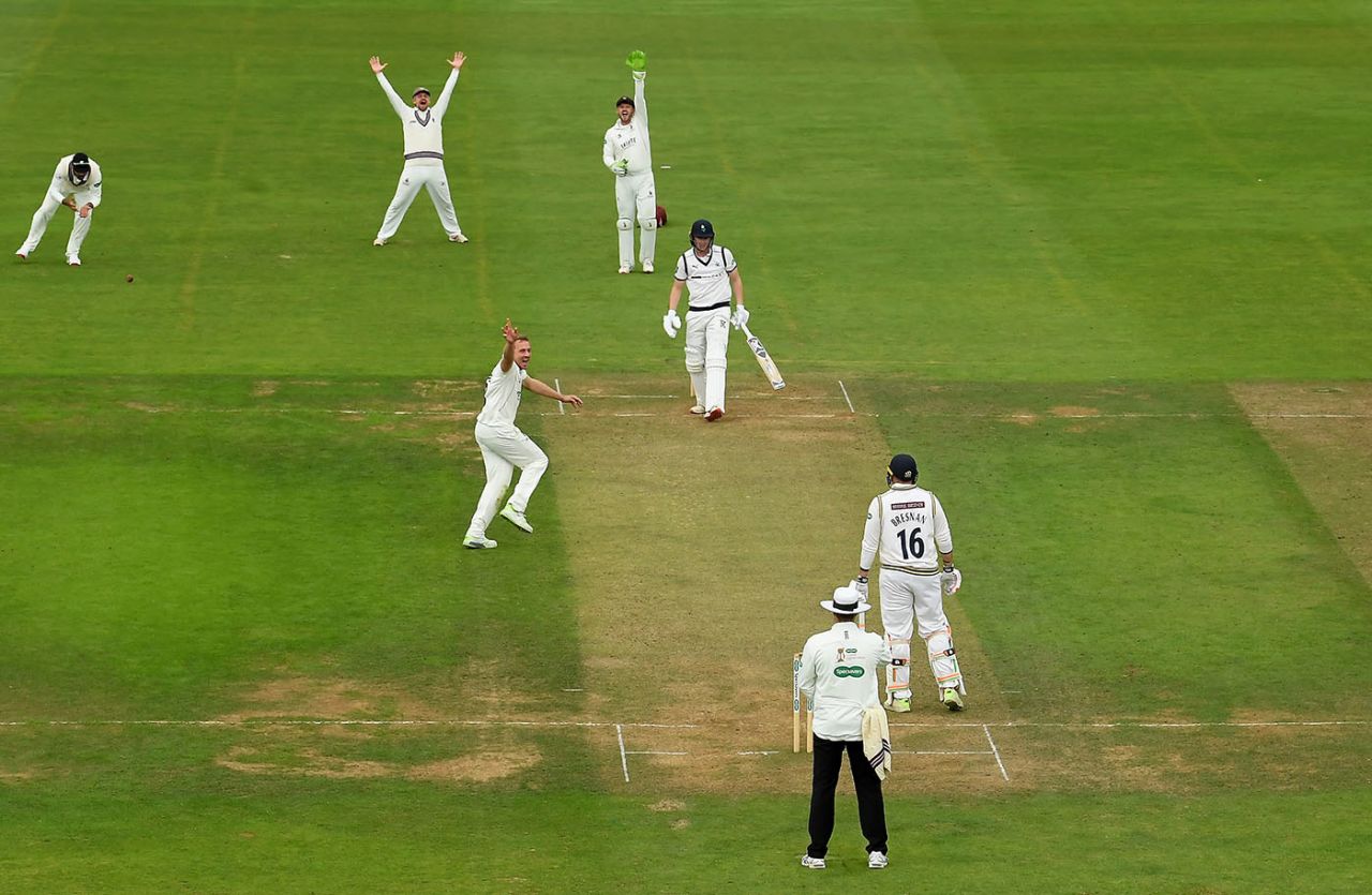 Harry Brook is trapped leg before by Josh Davey for 6, Somerset v Yorkshire, Specsavers County Championship, Taunton, September 11, 2019