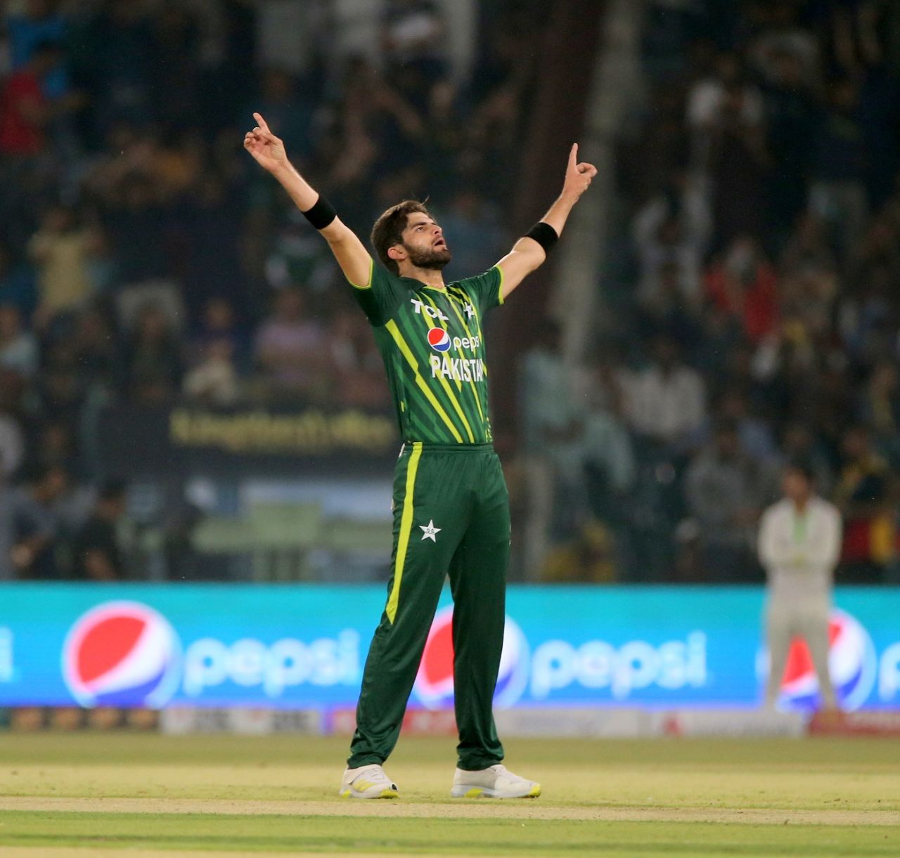 Shaheen Shah Afridi's trademark celebration was out early after he sent back Will Young, Pakistan vs New Zealand, 1st T20I, Lahore, April 14, 2023