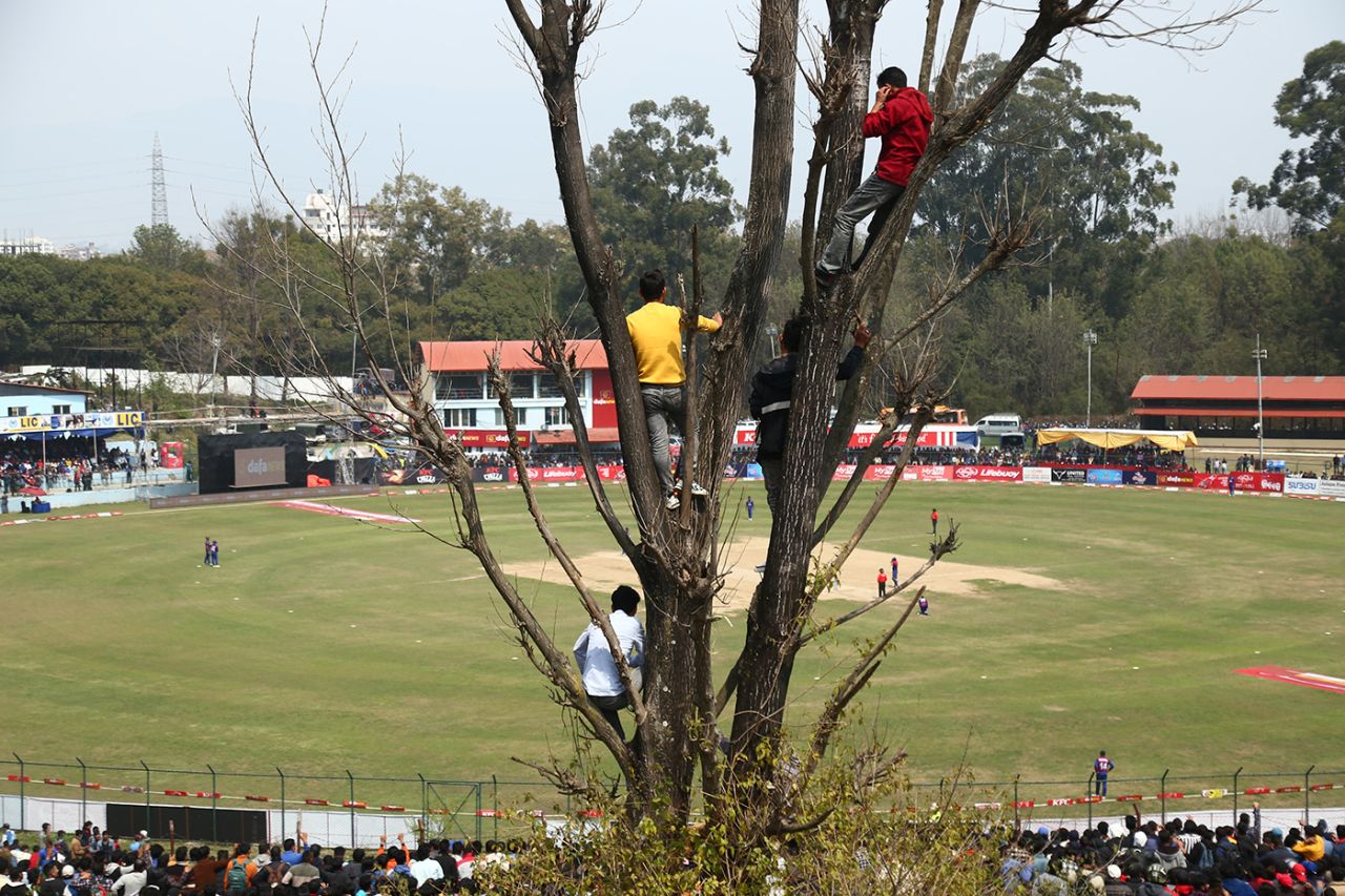 Nepal fans perch on trees outside the ground to follow the game, Nepal vs UAE, ICC Cricket World Cup League 2, Kirtipur, March 16, 2023