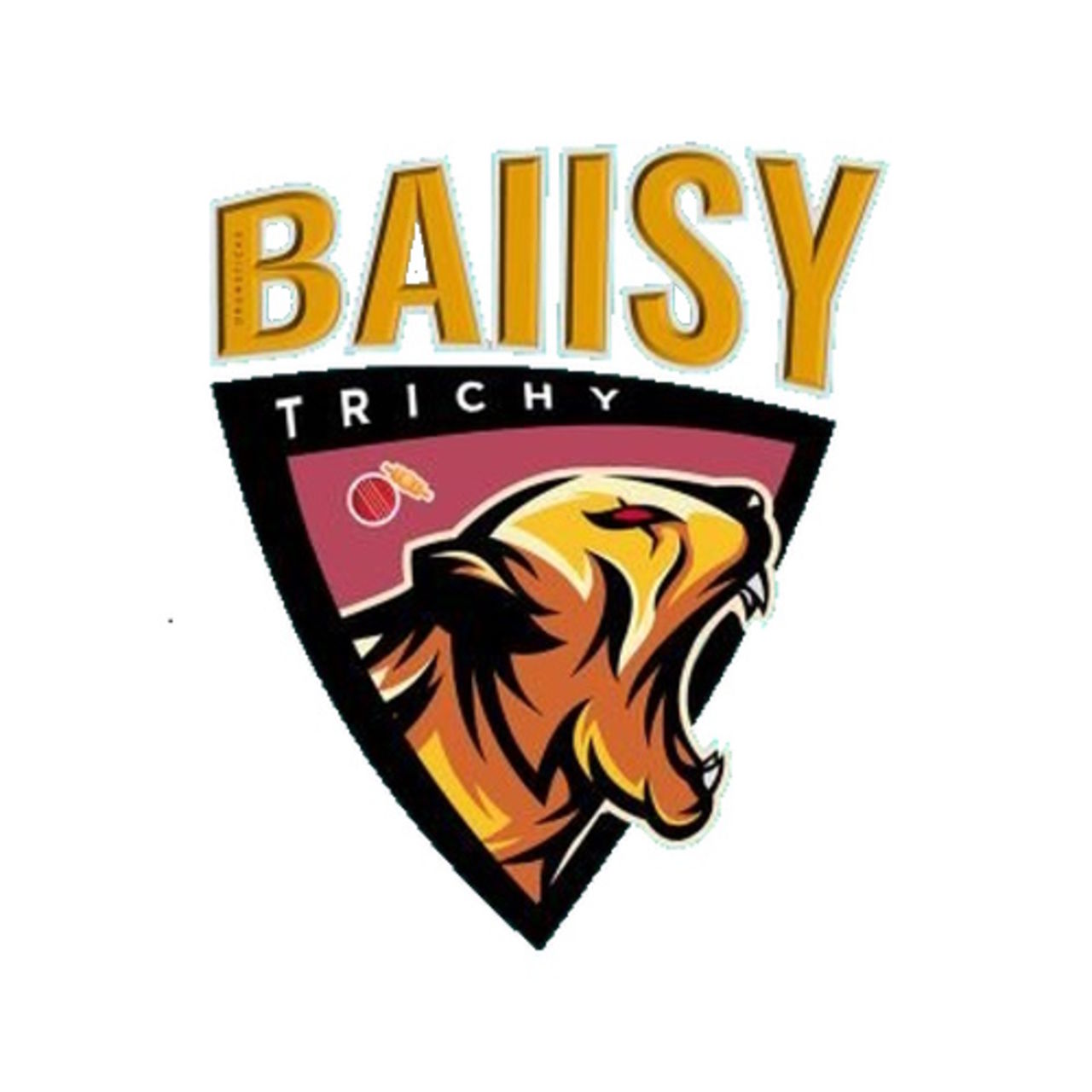 Ballsy Trichy team logo