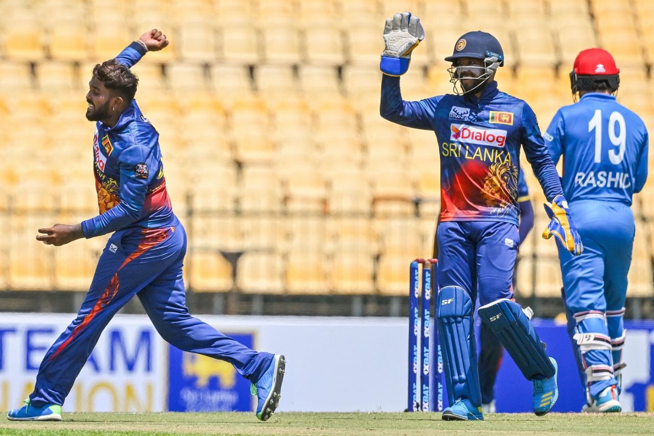 Wanindu Hasaranga looks unstoppable on dismissing Rashid Khan, Sri Lanka vs Afghanistan, 3rd ODI, Hambantota, June 7, 2023