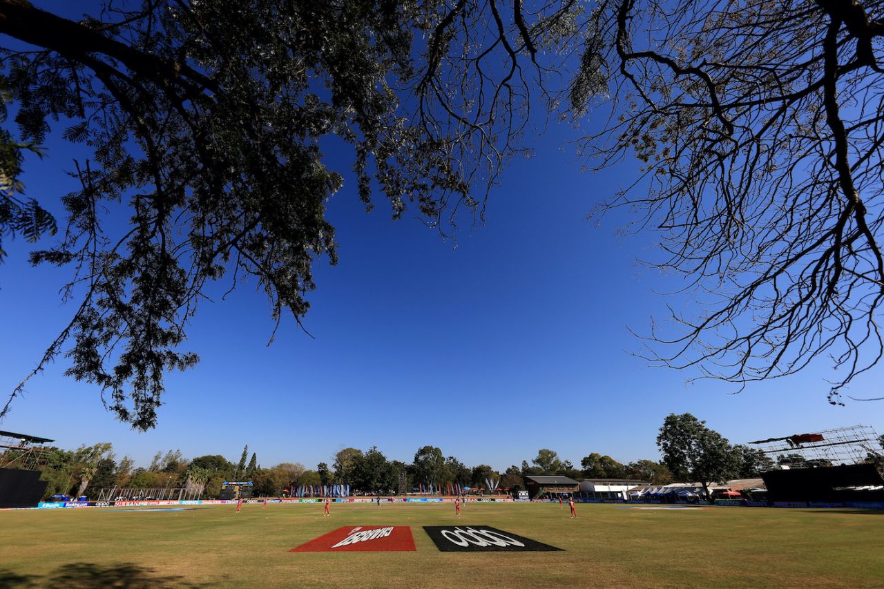 A general view of the cricket from behind the branches, Ireland vs Oman, World Cup Qualifier, Bulawayo, June 19, 2023